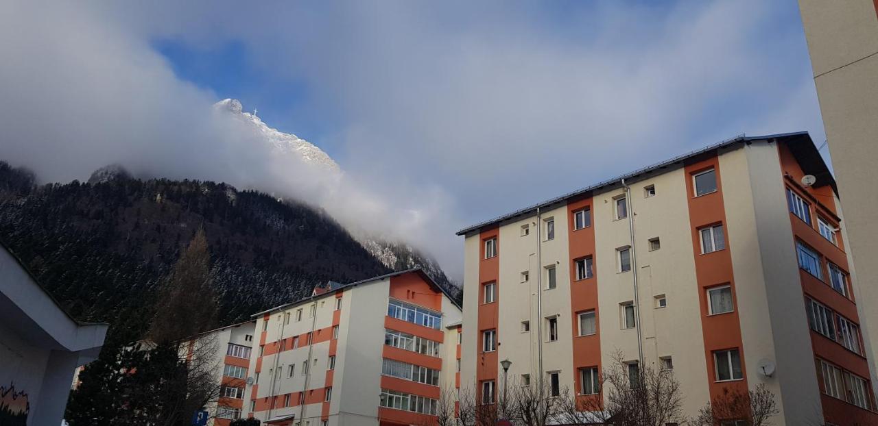 Apartament Silva Busteni Bagian luar foto